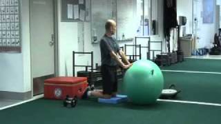 Stability Ball Rollout [upl. by Eshman]