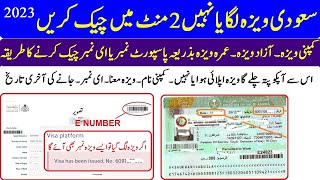 saudi ka visa kaise check kare online 2023  visa kaise check kare  visa check online saudi arabia [upl. by Aniratak962]