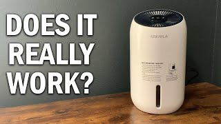 MAKAYLA Dehumidifiers Review  Does It Really Work [upl. by Noellyn]