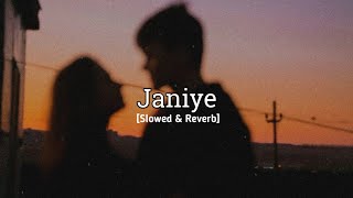 Janiye song  slowed amp Reverb  Vishal mishra [upl. by Eralcyram]