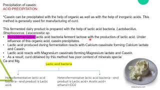 Casein dairy microbiology 2  Milk microbiology [upl. by See]