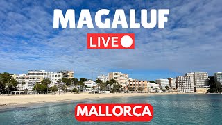 🔴 LIVE in MAGALUF Majorca Mallorca  7 April 2024 [upl. by Jenkel249]