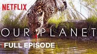 Our Planet From Deserts to Grasslands  FULL EPISODE Netflix  Latest Update amp Release Date [upl. by Nednal]