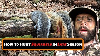 How To Hunt Squirrels In Late Season [upl. by Hanson]