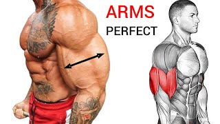 Best Bicep and Tricep Workout for WIDER ARMS Perfect [upl. by Adleremse]