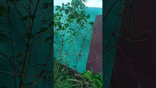 ছাদে করুন লাফাVegetables in small tubs on the roof [upl. by Evyn]