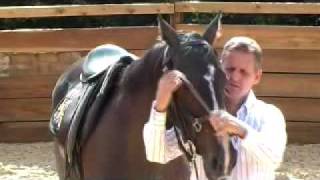 Michael Peace  Problem Horse Trainer  Saddling Bridling and LongReining [upl. by Nyliac]