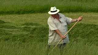 Au Bélarus Gérard Depardieu apprend à faucher les foins [upl. by Itoc328]