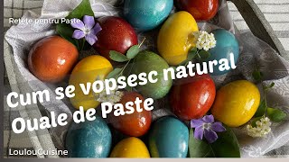 Oua de Paste vopsite in culori naturale [upl. by Idnis]