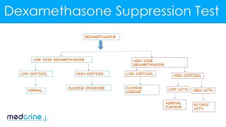 Dexamethasone Suppression Test How it is done and interpretation of the findings [upl. by Sherrill645]