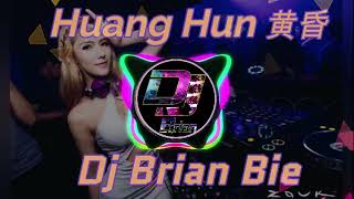 Huang Hun 黄昏 Remix By Dj Brian Bie [upl. by Wynny]