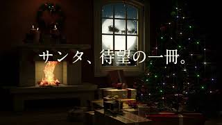 トイザらス  クリスマス カタログ 2017 [upl. by Nerfe]