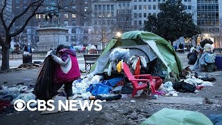 Homeless population across US on the rise Wall Street Journal review [upl. by Amik437]