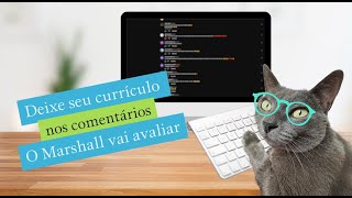 Deixe seu currículo nos comentários 🥹 O Marshall vai avaliar gatos gatosengraçados gatofalante [upl. by Sheena]