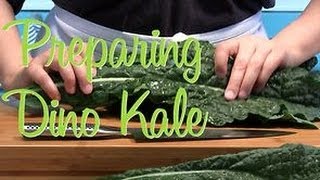 How to Prepare Kale [upl. by Farhsa]