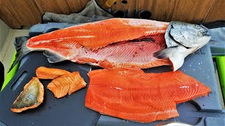 Catch and Cook KING Salmon TASTE TEST Belly Back amp Tail [upl. by Yekcim]