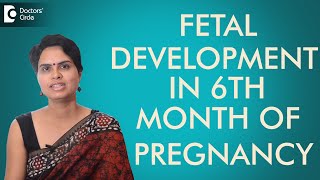 6th Month  Fetal development in sixth month of pregnancy Dr Shefali Tyagi [upl. by Kenji]