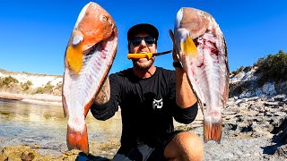 SOLO fishing  CATCH and COOK fish burgers Best tasting fish in the sea [upl. by Rizzi642]