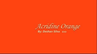 Acridine Orange  3D Model and More [upl. by Gustav]