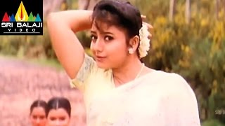 Suryudu Video Songs  Selayetiki Video Song  Rajasekhar Soundarya  Sri Balaji Video [upl. by Stella]