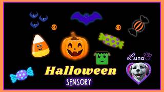 🎃 Happy Halloween Sensory Video🦇 Halloween for Kids [upl. by Lairbag]