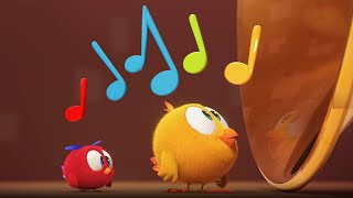 Musical instrument  Wheres Chicky  Cartoon Collection in English for Kids  New episodes [upl. by Henriette]