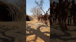 Singing San Bushmen in Kalahari Desert in Namibia [upl. by Basilius]