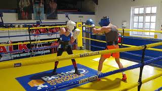 Amateur boxing sparring Round 1 [upl. by Yelad]