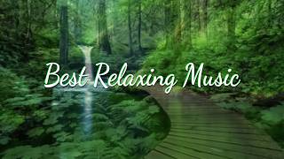 Relaxing Piano Music Romantic Music Beautiful Relaxing Music Sleep Music Stress Relief ★5 [upl. by Dedric919]