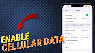 How To Enable Cellular Data On iPhone [upl. by Wedurn]