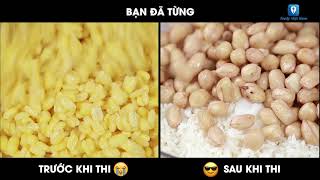 Sự khác biệt giữa TRƯỚC KHI THI và SAU KHI THI  Feedy TV [upl. by Ainotna635]