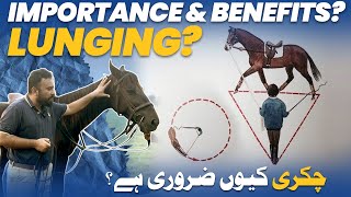 Lunging Importance and Benefits چکری کیوں ضروری ہے؟ horse horseriding [upl. by Ylebmik]