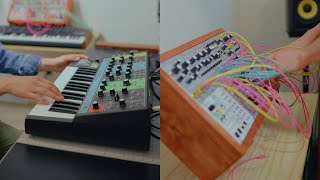 Tromos  Moog Grandmother amp Modular [upl. by Eicyak]