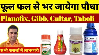 Bayer  PLANOFIX । Taboli  Paclobutrazole 40 । Syngenta  Cultar । Progibb  Gibberellic Acid । [upl. by Acus]