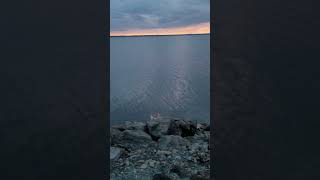 Pymatuning State Park Fishing walkway and marina [upl. by Natsreik]