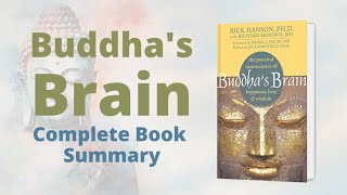 Buddhas Brain  Free Audio Book Summary  Mr Un2known [upl. by Moia803]