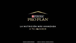 ProPlan® para la necesidad específica de tu perro [upl. by Namsaj]