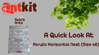 Antkit  Acrylic Horizontal Nest Review Size 08 4K [upl. by Nibor]