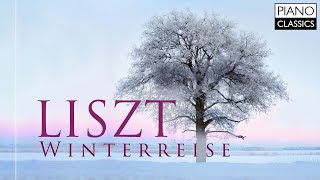 Liszt Winterreise after Schubert [upl. by Vonny]