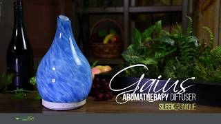 Gaius Aromatherapy Glass Essential Oil Diffuser  Instructions amp Cleaning [upl. by Sommers453]