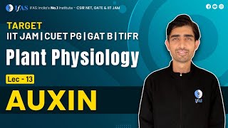 Auxin I Plant Physiology  L13  TARGET IIT JAM CUET PG GAT B TIFR  IFAS [upl. by Thapa]