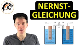 Die NernstGleichung  Chemie Tutorial [upl. by Dnar]