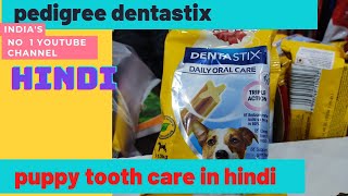 pedigree dentastix review I labrador doberman german shepherd golden retriever best tooth care HINDI [upl. by Meer263]