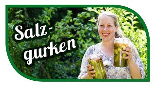 Salzgurken selber einlegen 🥒 Gurken Fermentieren 🥒 Original Rezept vom Gärtner 🥒 Gurken einmachen [upl. by Enelez]