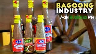 Lingayen Bagoong  Bagoong Industry in the Philippines  Agribusiness Philippines [upl. by Petronille910]