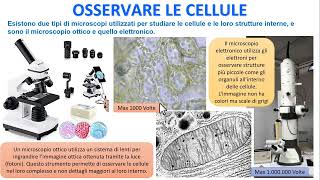 OSSERVARE LE CELLULE [upl. by Carolan510]