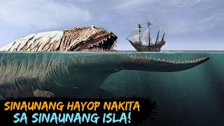 Mga Sinaunang Hayop Nakita sa Sinaunang isla [upl. by Dorweiler951]