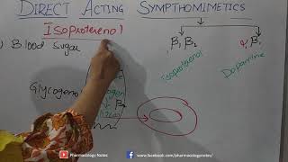 Pharmacology of isoproterenol [upl. by Von156]