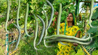 🐍सांप जैसा दिखने वाली इस सब्जी को मेरे तरीके से बनाएंगे तो लोग बिना तारीफ किये नहीं रह पाएंगे [upl. by Peirsen]