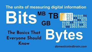 The Units of Measuring Digital Information Bits and Bytes [upl. by Elle208]